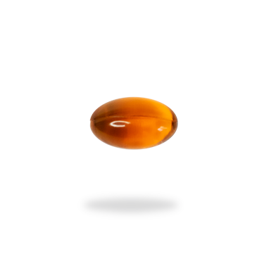 Saw Palmetto