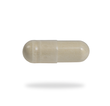 Digestive Enzymes