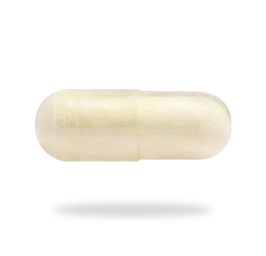 Daily Probiotic