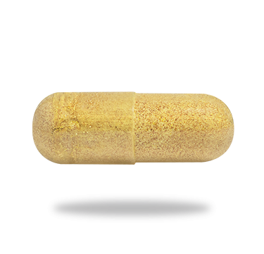 Quercetin Plus